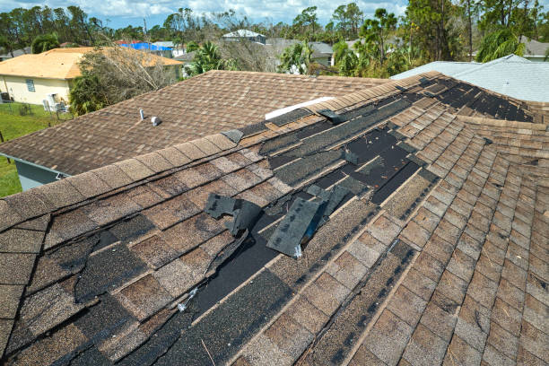 Skilled roofer inspecting flashing, valleys, and shingle wear for leak source